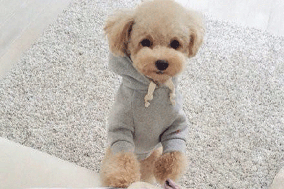 1493017628974354.gif vb;l;5.gif