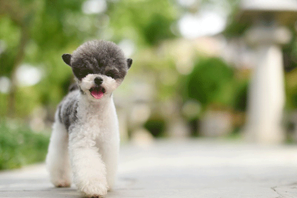 1503314456524098.gif fddddddddddddd.gif
