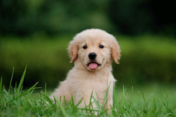 1509946624550489.gif cvxbhbbbbbbbbbbbbbb.gif