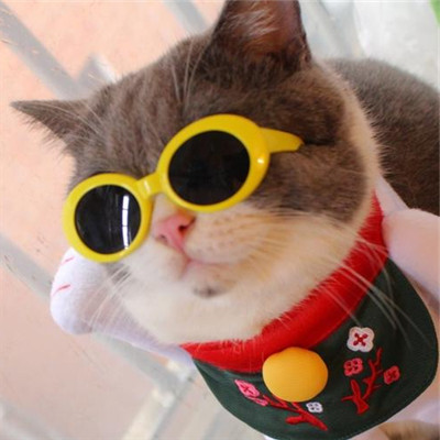 1568962798836987.jpg u=3468745718,3982464249&fm=26&gp=0_副本.jpg